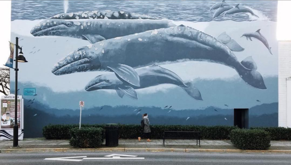 White Rock Whale Wall