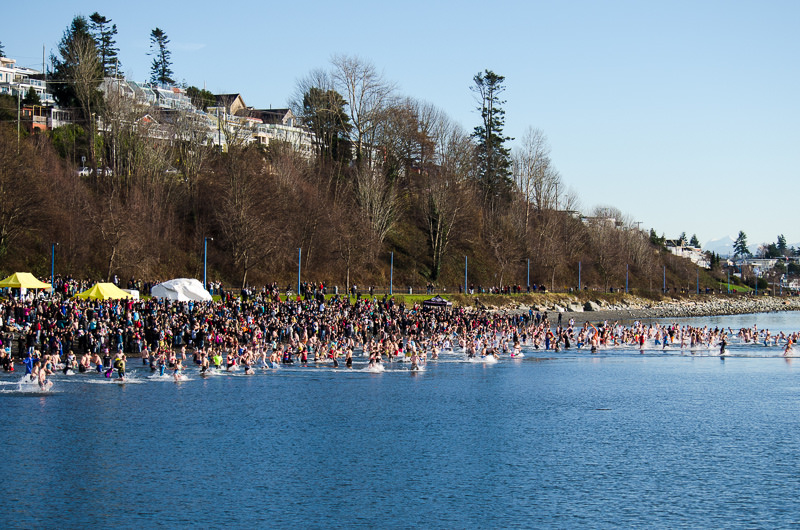 Polar Bear Plunge Explore White Rock