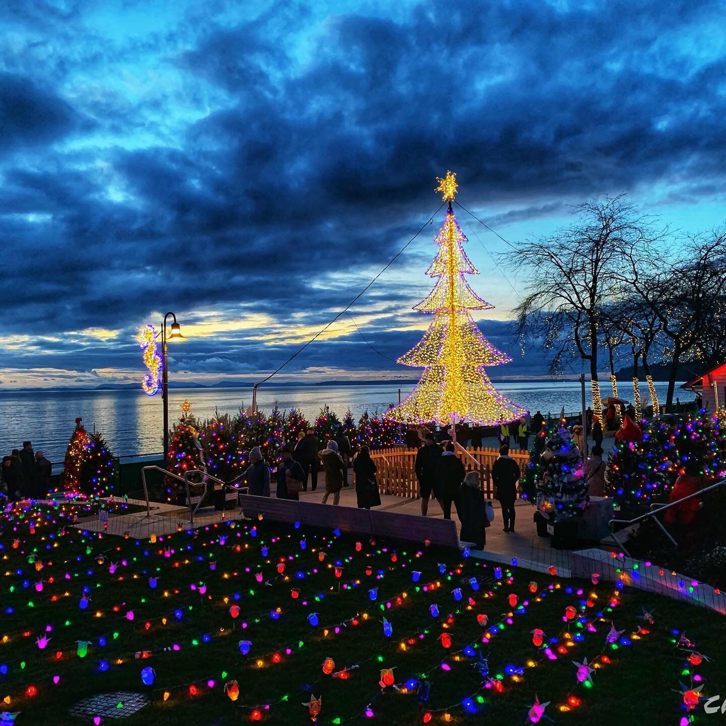 White Rock Festival Of Lights 2020 Explore White Rock