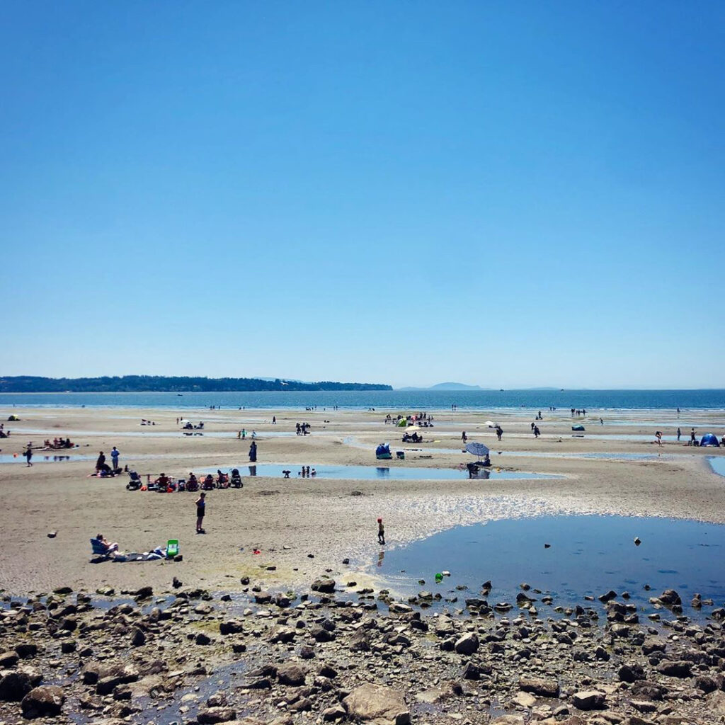 are dogs allowed on white rock beach