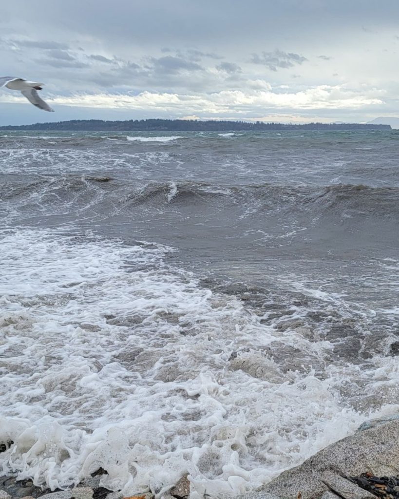 Storm - waves - seagull - graycious_lise